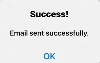 Secure email sent successfully